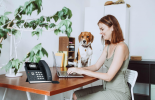 Work from home with VOIP system