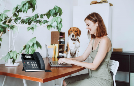 Work from home with VOIP system
