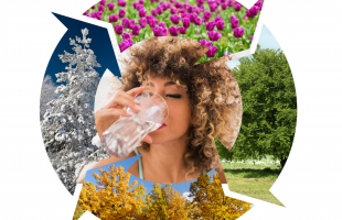 4 seasons and glass of water