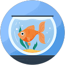 Brandon Houlis profile picture