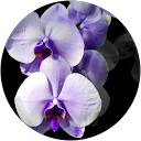 María Mejía profile picture